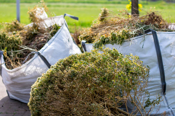 Best Yard Cleanup Services  in Rifle, CO
